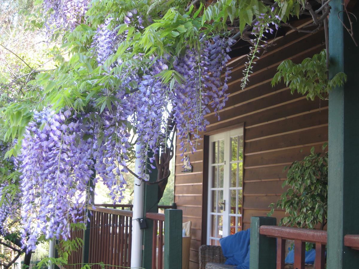 Rosemoore Bed & Breakfast เพิร์ท ภายนอก รูปภาพ